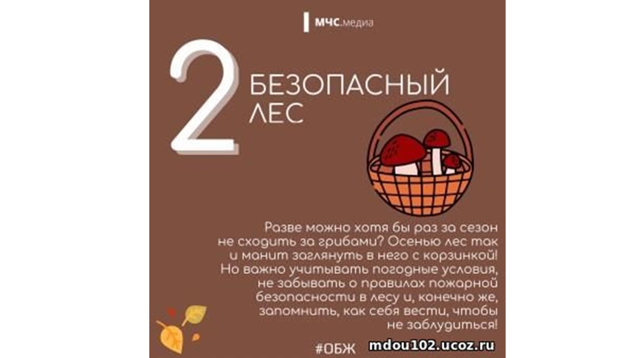 Слайд3.JPG
