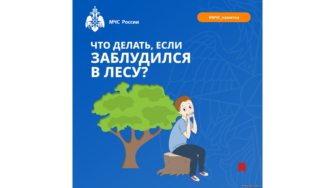 Слайд4.JPG