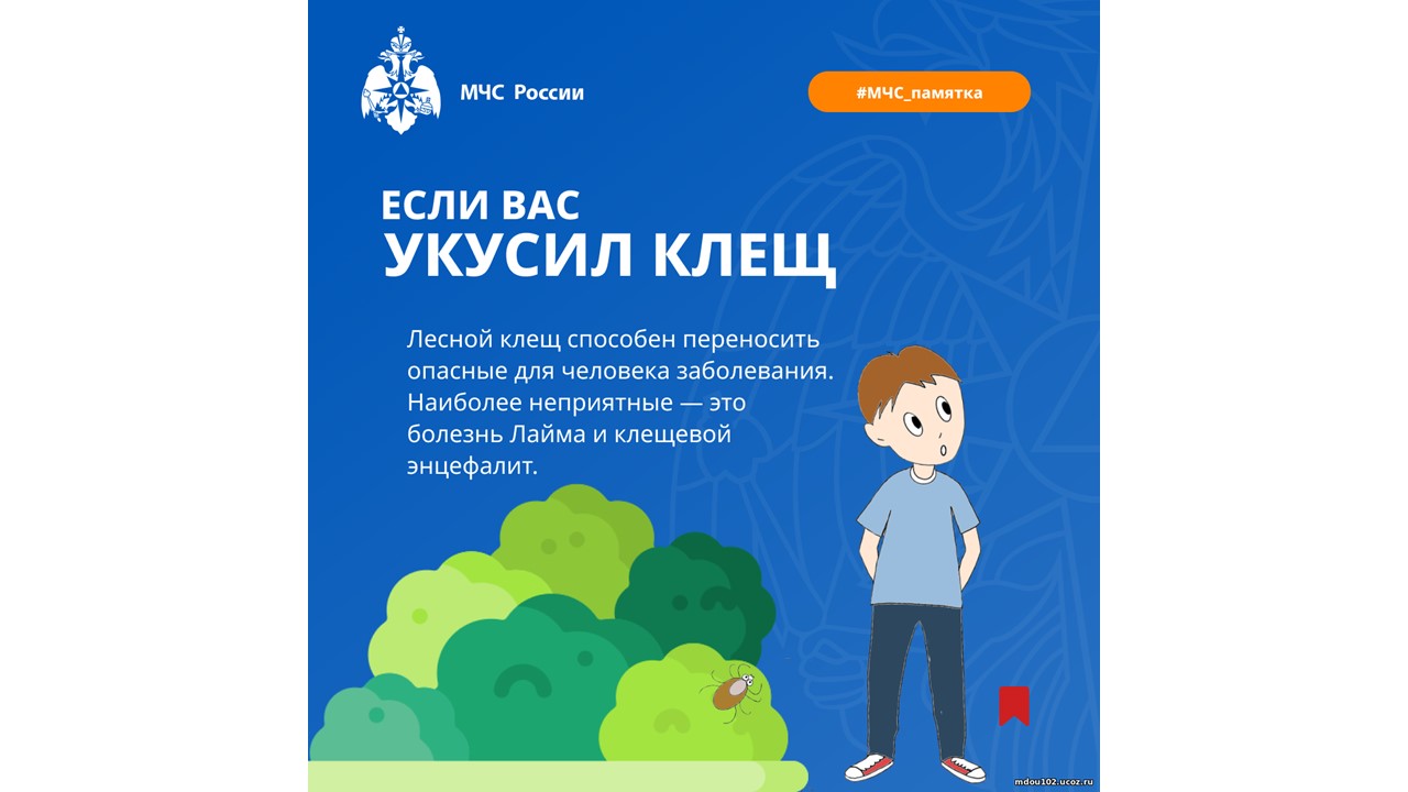 Слайд9.JPG