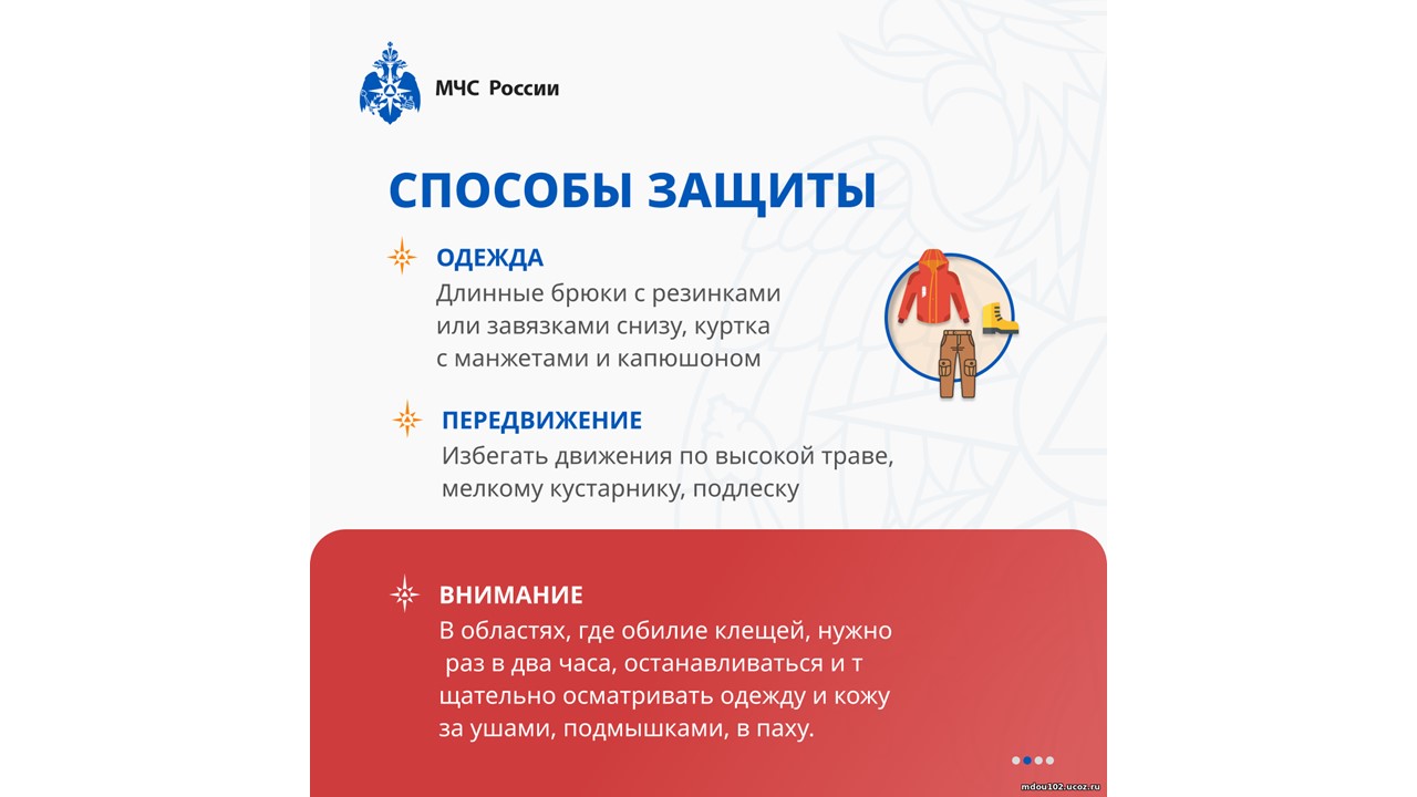 Слайд10.JPG