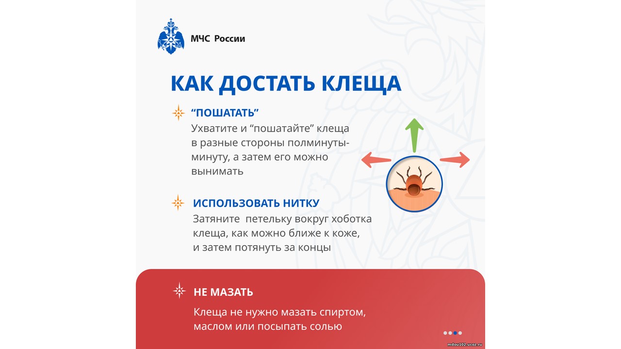 Слайд11.JPG